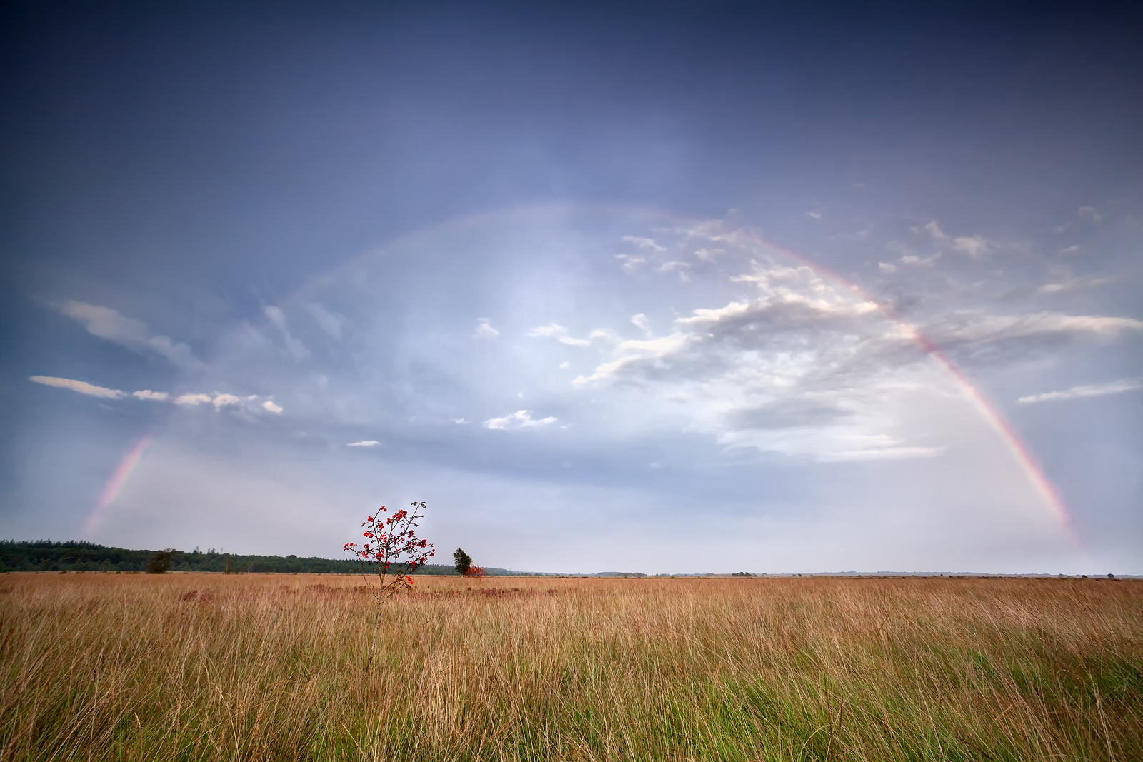 bigstock-Rainbow-Over-Rowan-Tree-After-51450871